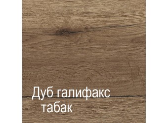 Шкаф-пенал для одежды ПХ-1 (ДГТ) Ханна